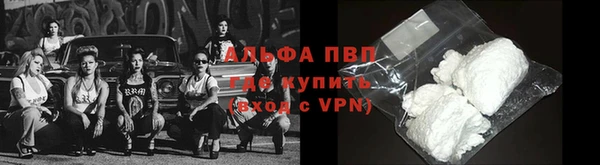 мяу мяу мука Богданович