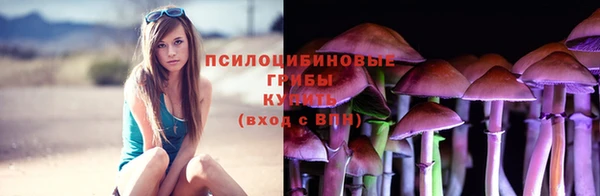 мяу мяу мука Богданович
