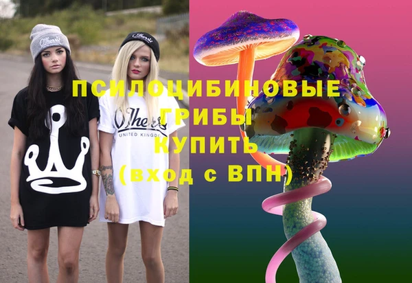 кокс Богородицк