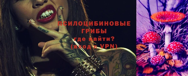 кокс Богородицк