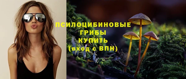 2c-b Богородск