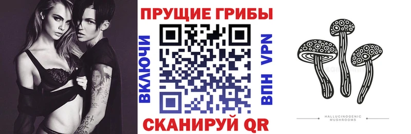 Галлюциногенные грибы прущие грибы Купить где Жердевка